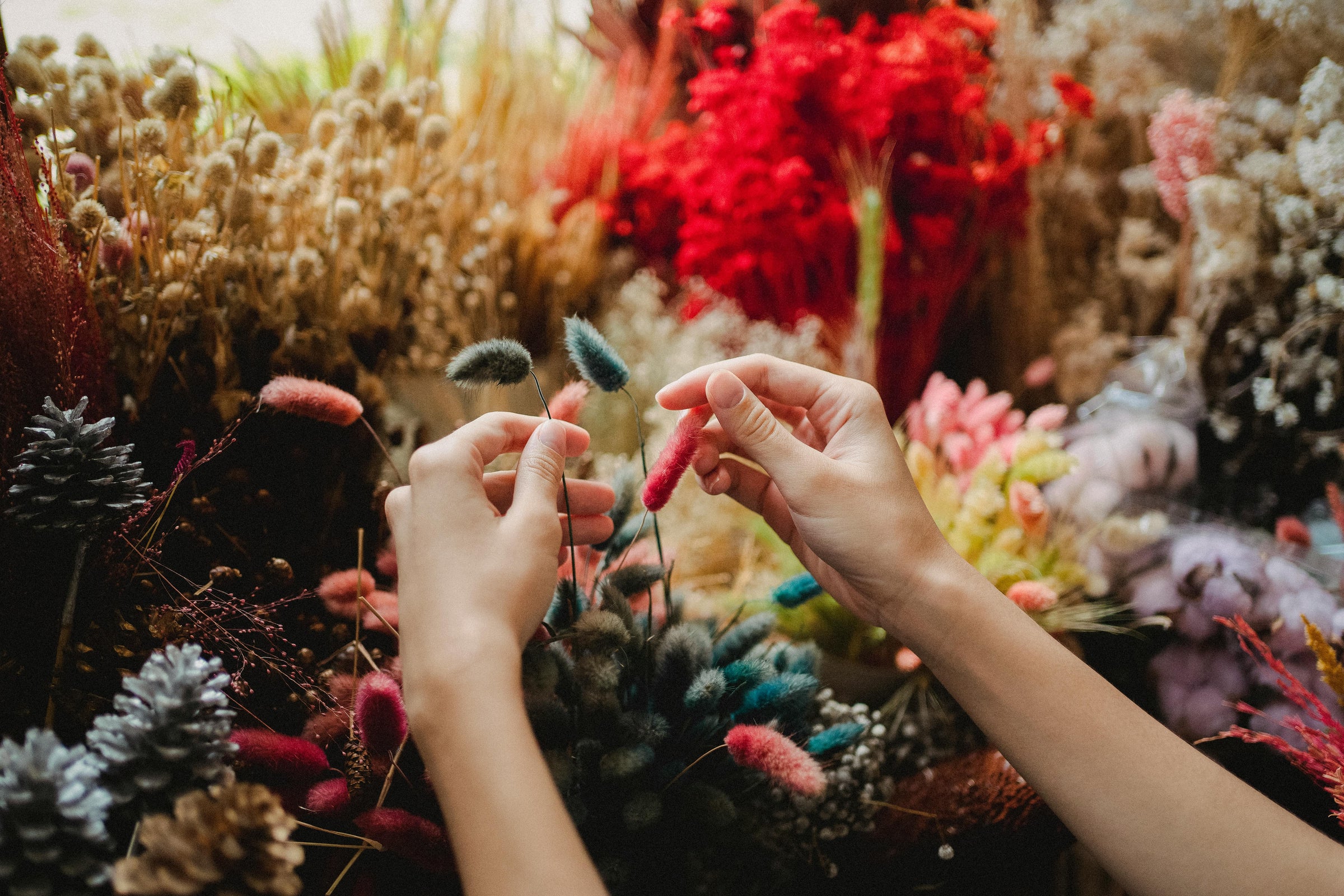 ofertas en flores preservadas baratas