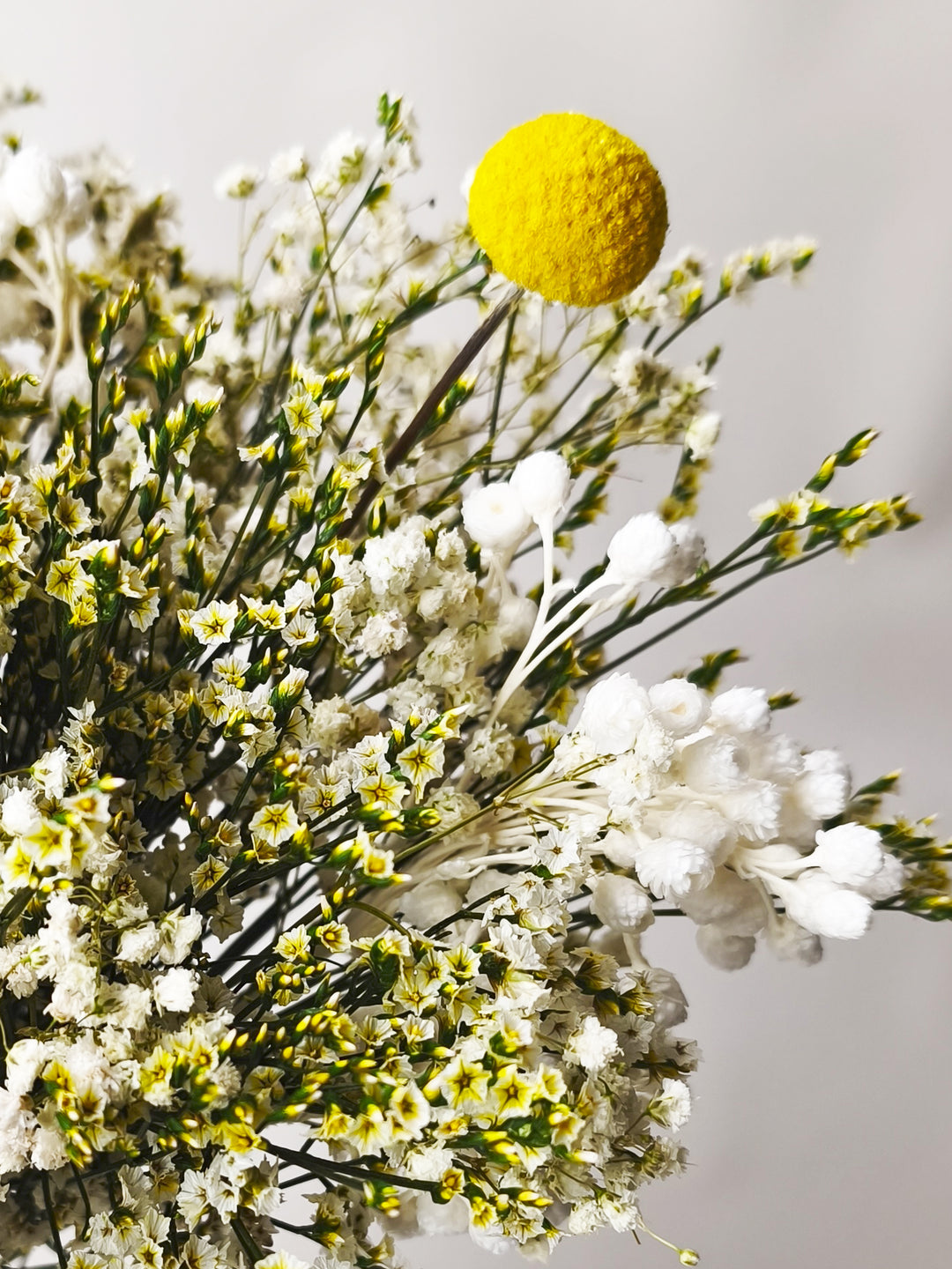 Bouquet Pôr do Sol - Flores Secas e Conservadas
