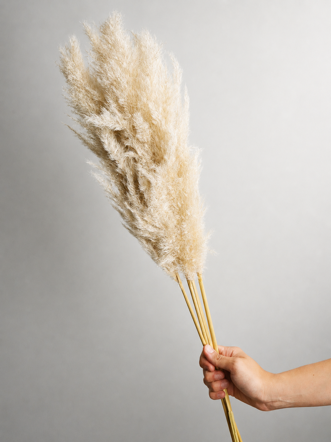 Pampas Secas