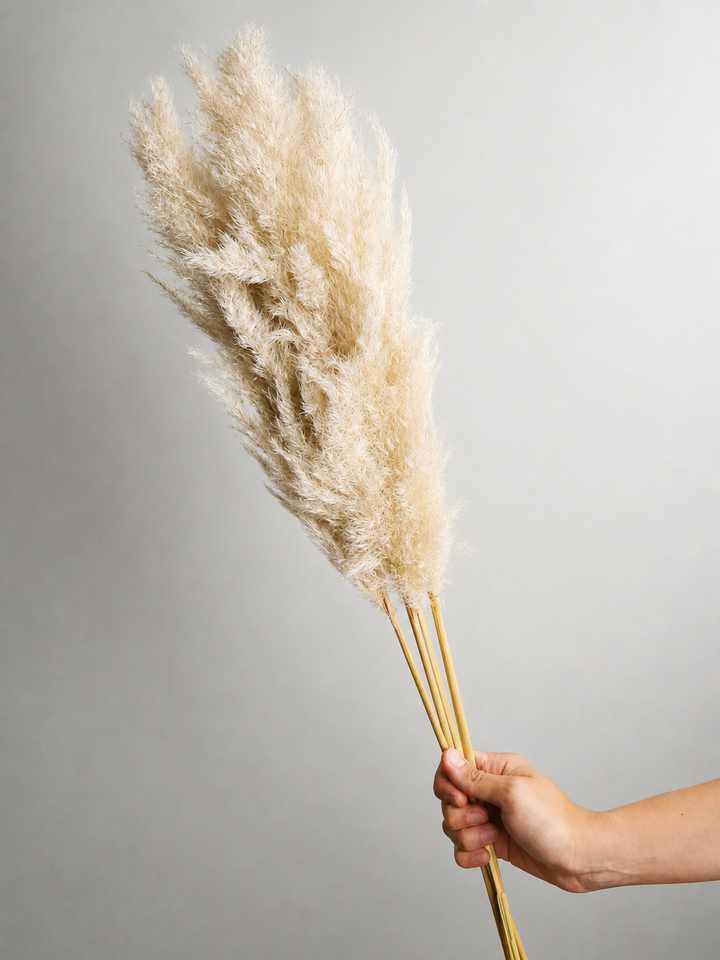 Pampas Secas