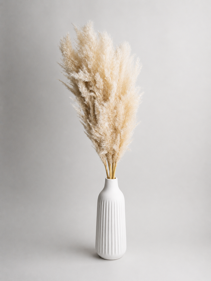 Pampas Secas