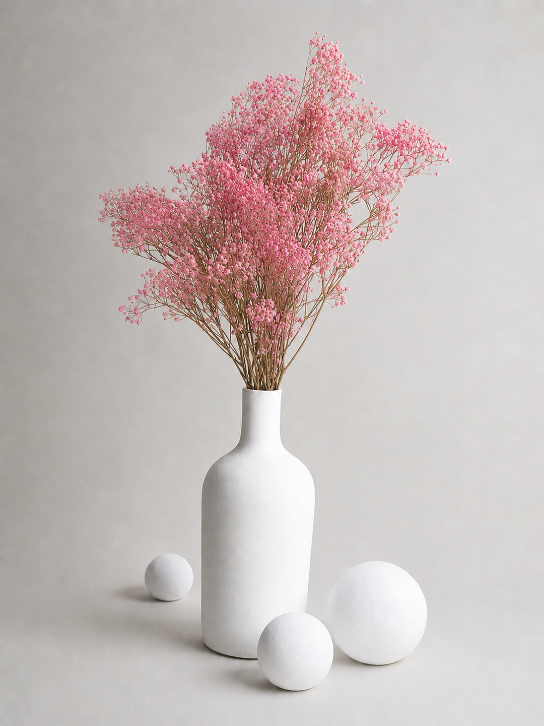 Paniculata Preserved