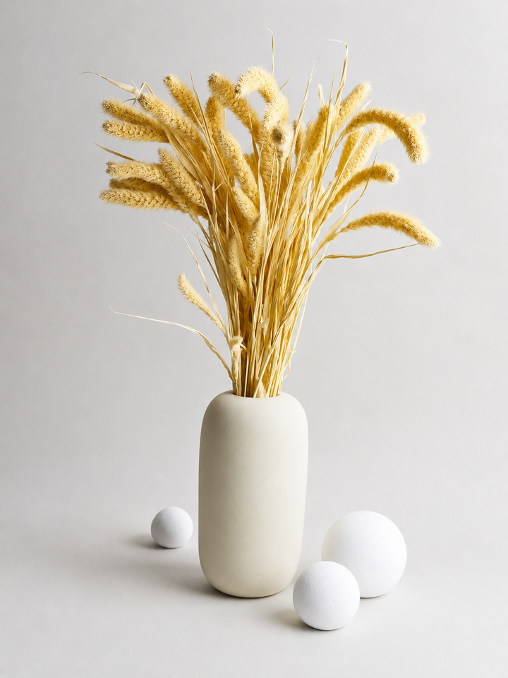 Dry Setaria 