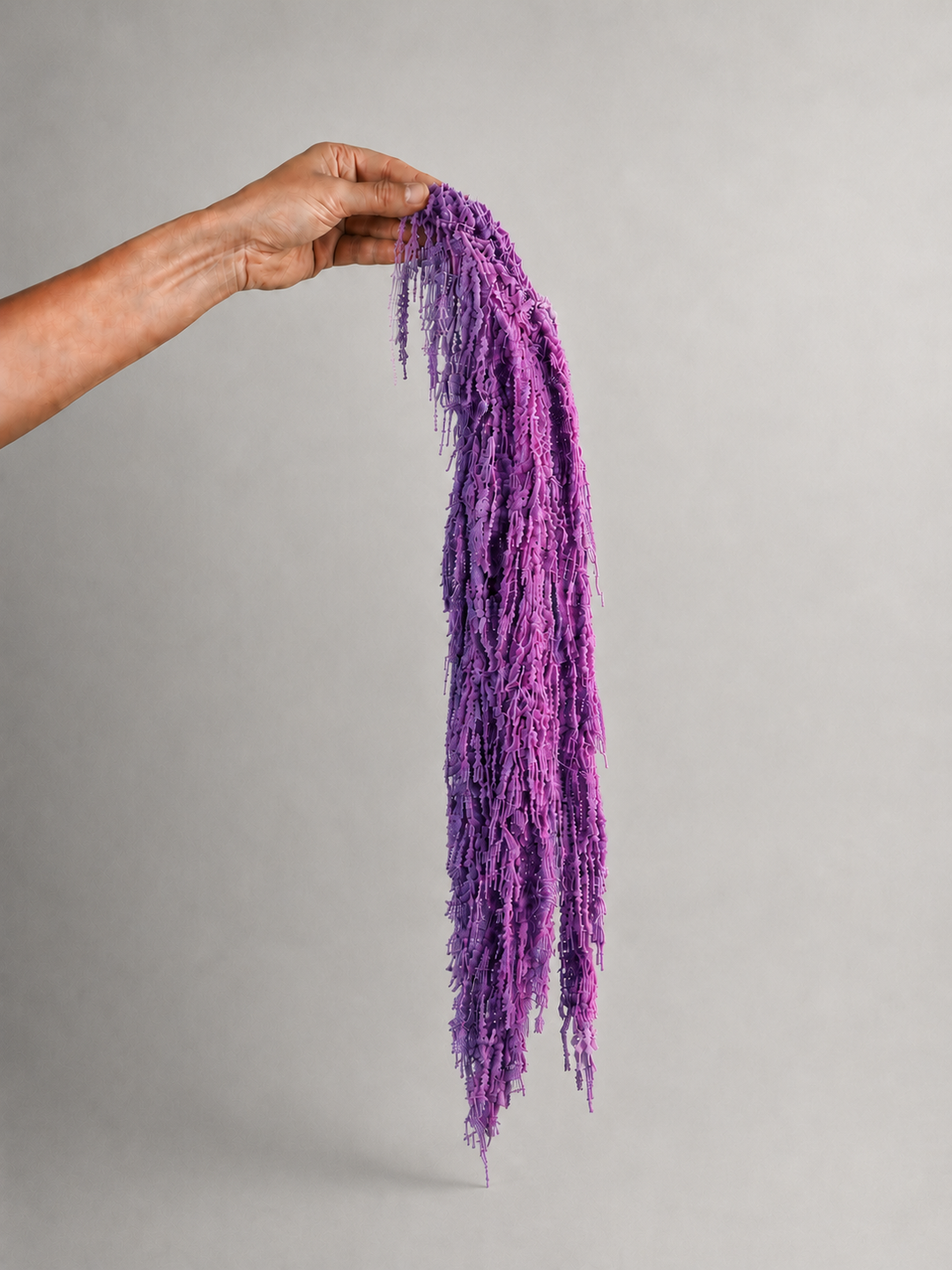Amaranthus Colgante Preservada