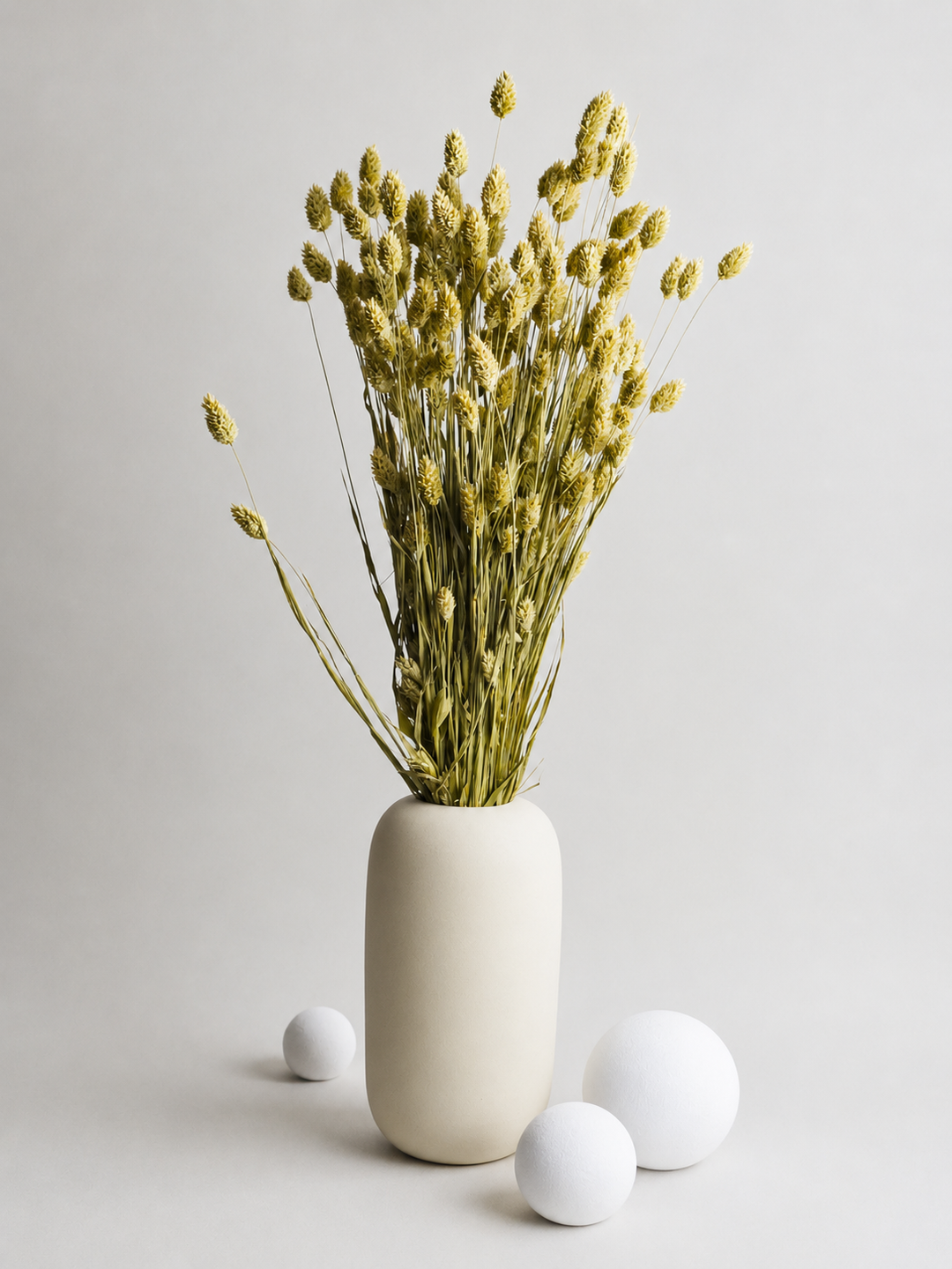 Phalaris Seco