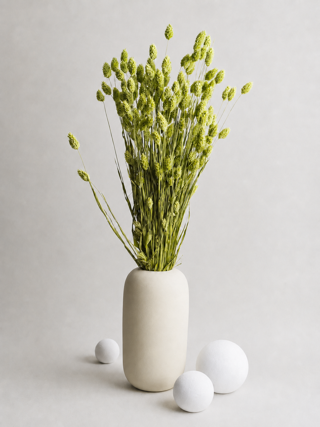 Phalaris Seco