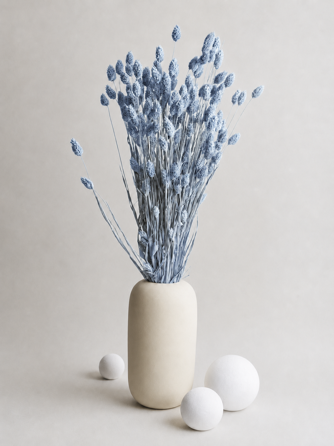 Phalaris Seco