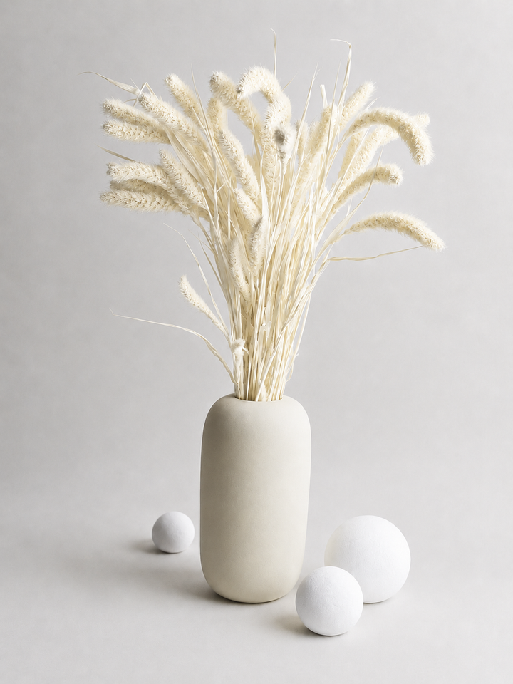 Dry Setaria 