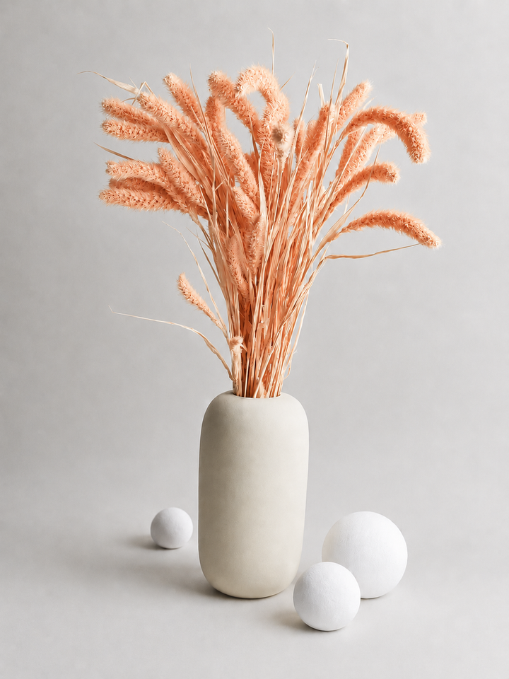 Dry Setaria 