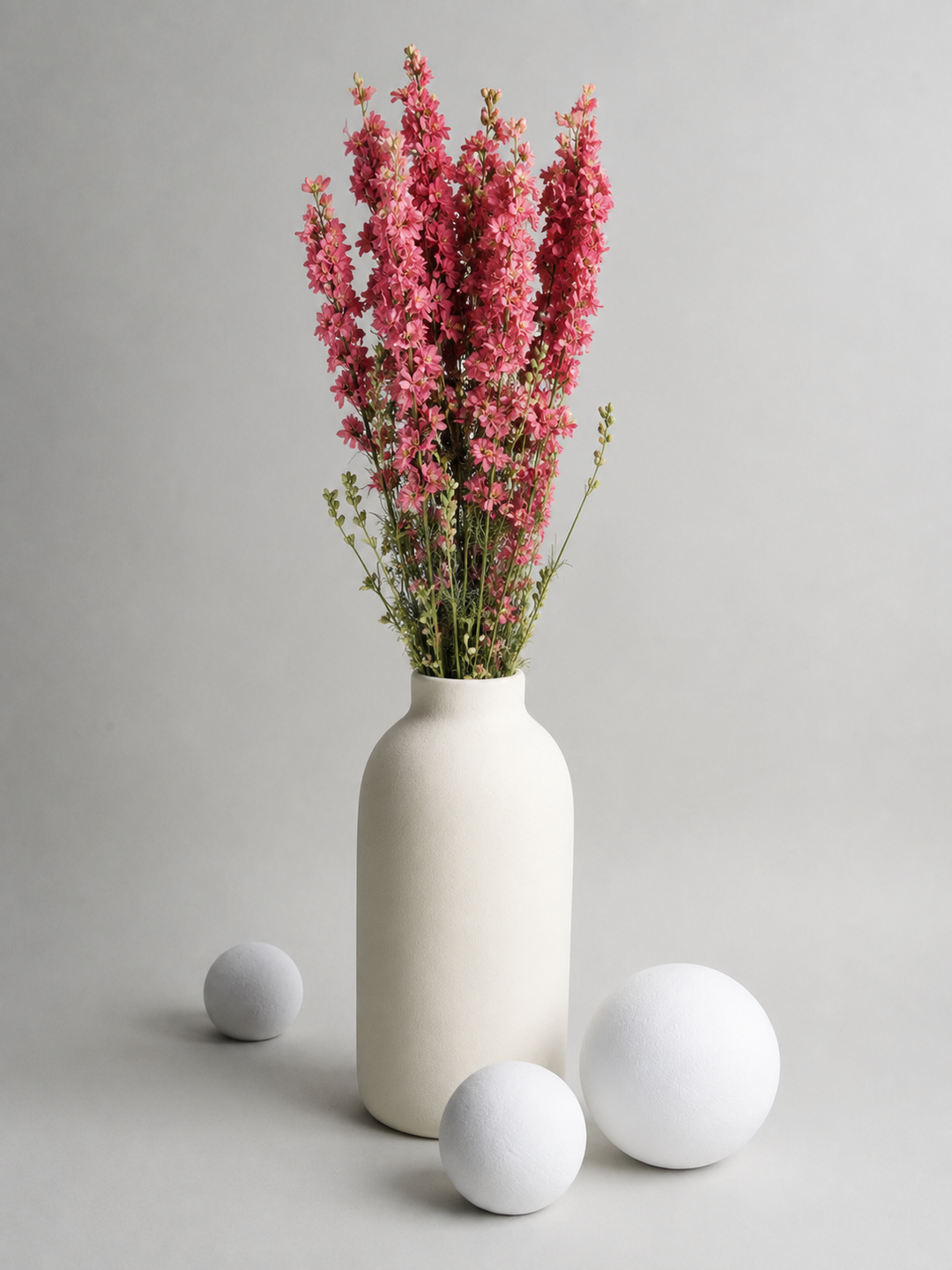 Delphinium Seca