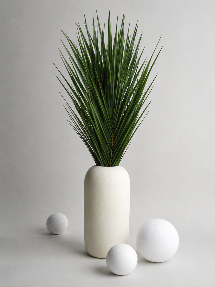 Palmera Robellini Preservada