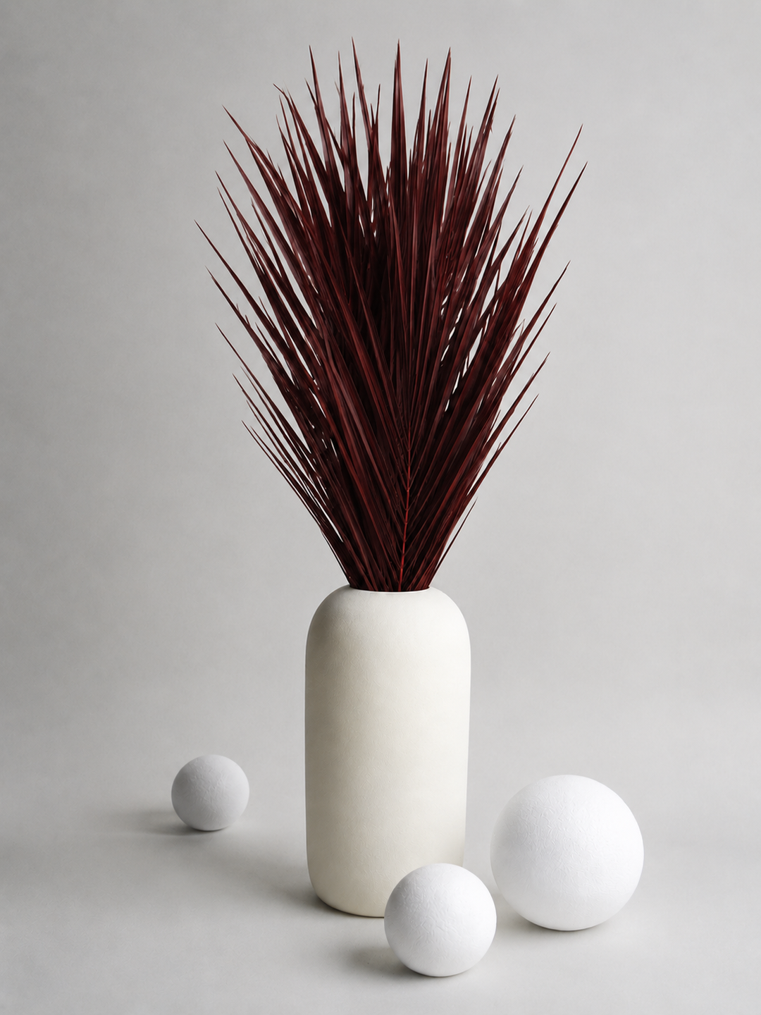Palmera Robellini Preservada