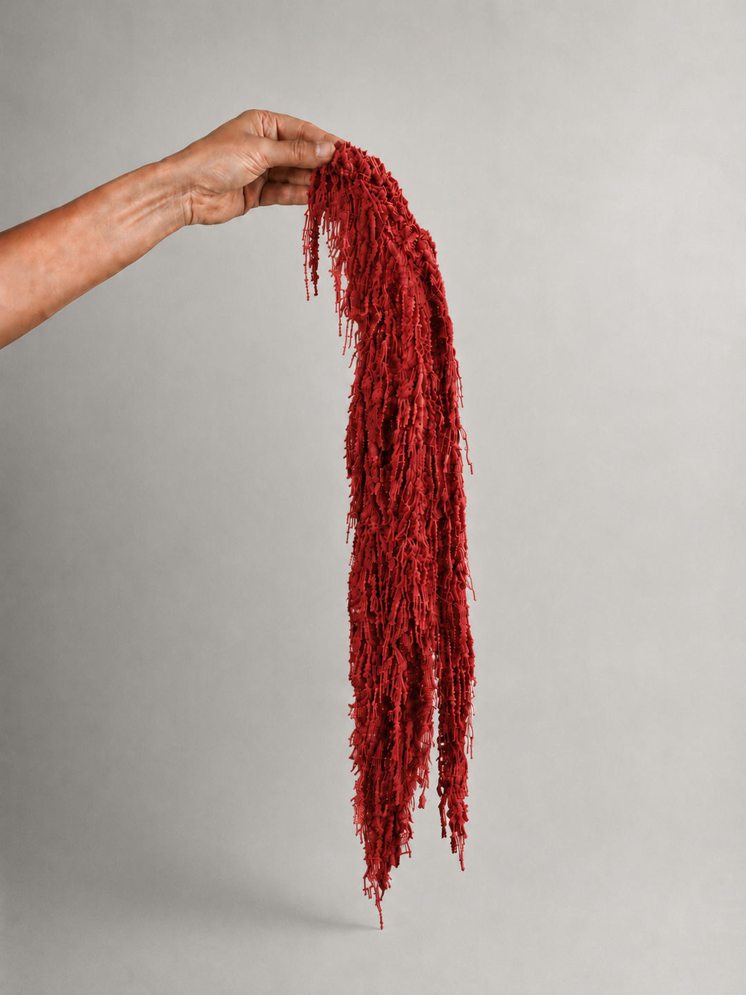 Amaranthus Colgante Preservada